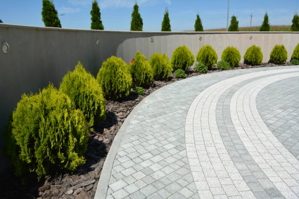 Reasons to Select Us for Your Driveway Paving Requirements in Seabrook, TX
